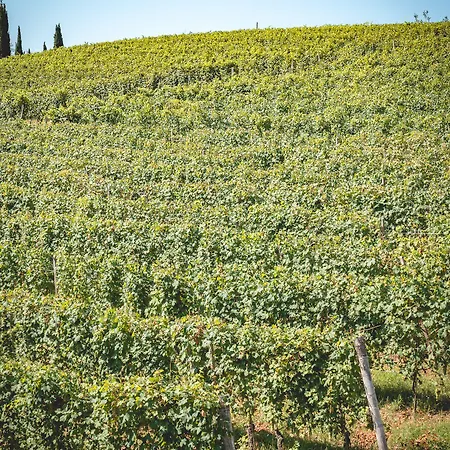 Arborina Relais Otel