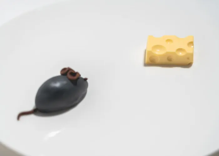 Arborina Relais Otel La Morra